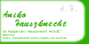 aniko hauszknecht business card